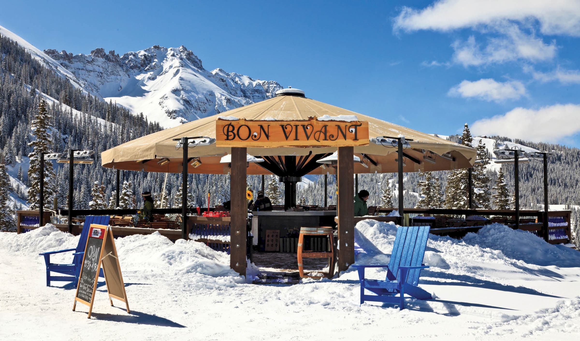 Alpha Series H3, Radiant Heater, Bon Vivant, Telluride, CO